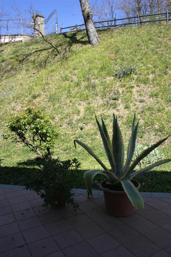 B&B Clara'S Garden Ponte della Venturina Exterior foto