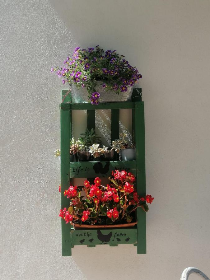 B&B Clara'S Garden Ponte della Venturina Exterior foto