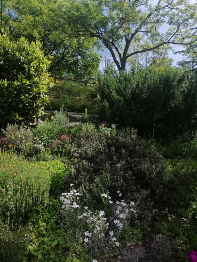 B&B Clara'S Garden Ponte della Venturina Exterior foto